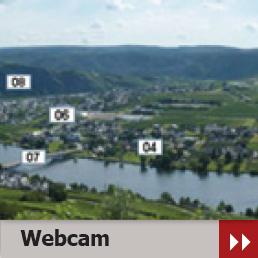 Webcam von Piesport