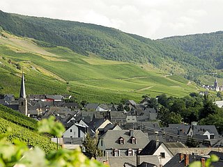 Graach an der Mosel