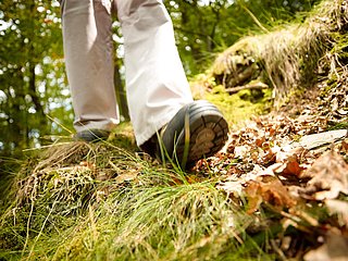 Personen wandern