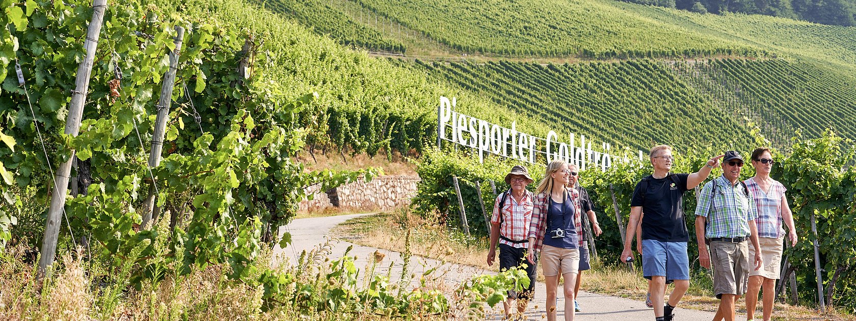 Wandern durch die Lage "Piesporter Goldtröpfchen"