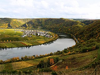 Minheim an der Mosel