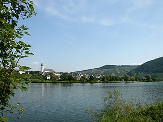 Moselansicht