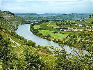 Minheim