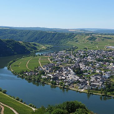 Ausblick Piesport