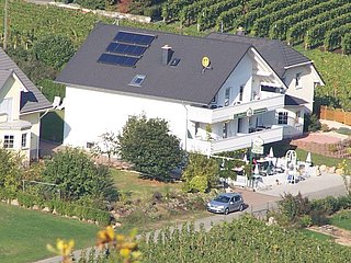 "Mosellicht" in den Weinbergen an der Mosel