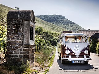 Bus Tour durch die Weinberge